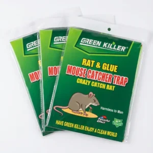 Rat Glue Trap ( এক বান্ডেল )